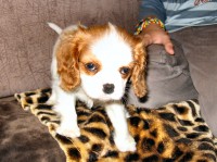 /album/nase-soucasnost/catja-006-jpg/